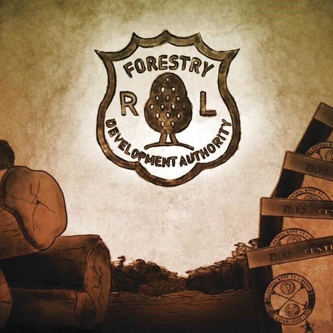 New Liberia forest boss plans to increase exports, denies working with war criminal Charles Taylor